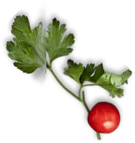 Union Food Mart and Pizzaria